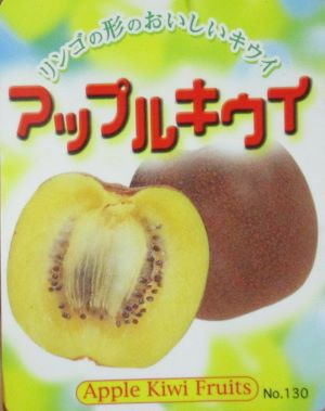 キウイフルーツ：アップルキウイ （メス木）：果樹苗 | 日本花卉