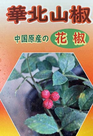 華北山椒(カホクサンショウ) 4寸ポット植え:果樹苗 (実山椒 華北山椒(カホクサンショウ) 4寸ポット植え:果樹苗 (実山椒